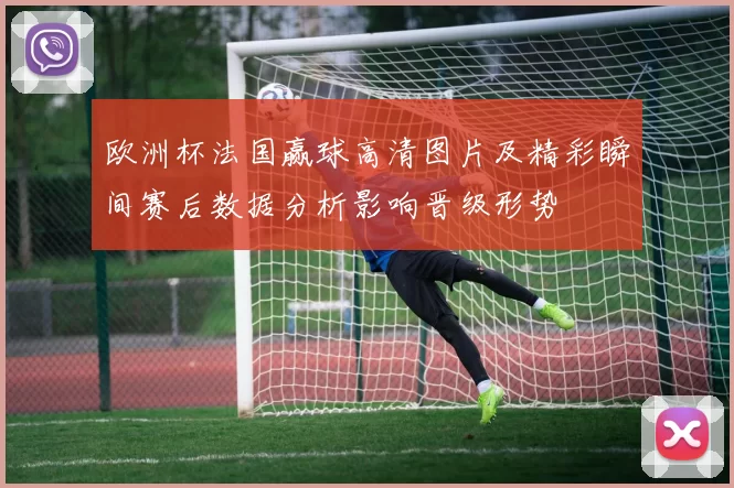 欧洲杯法国赢球高清图片及精彩瞬间赛后数据分析影响晋级形势