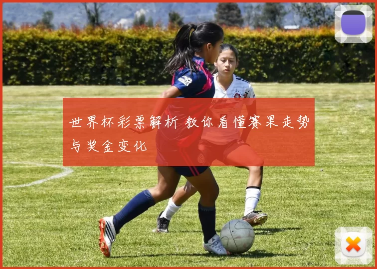 世界杯彩票解析 教你看懂赛果走势与奖金变化